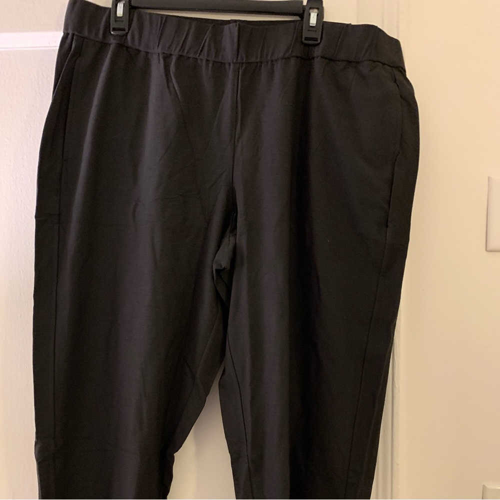 Eileen Fisher pants